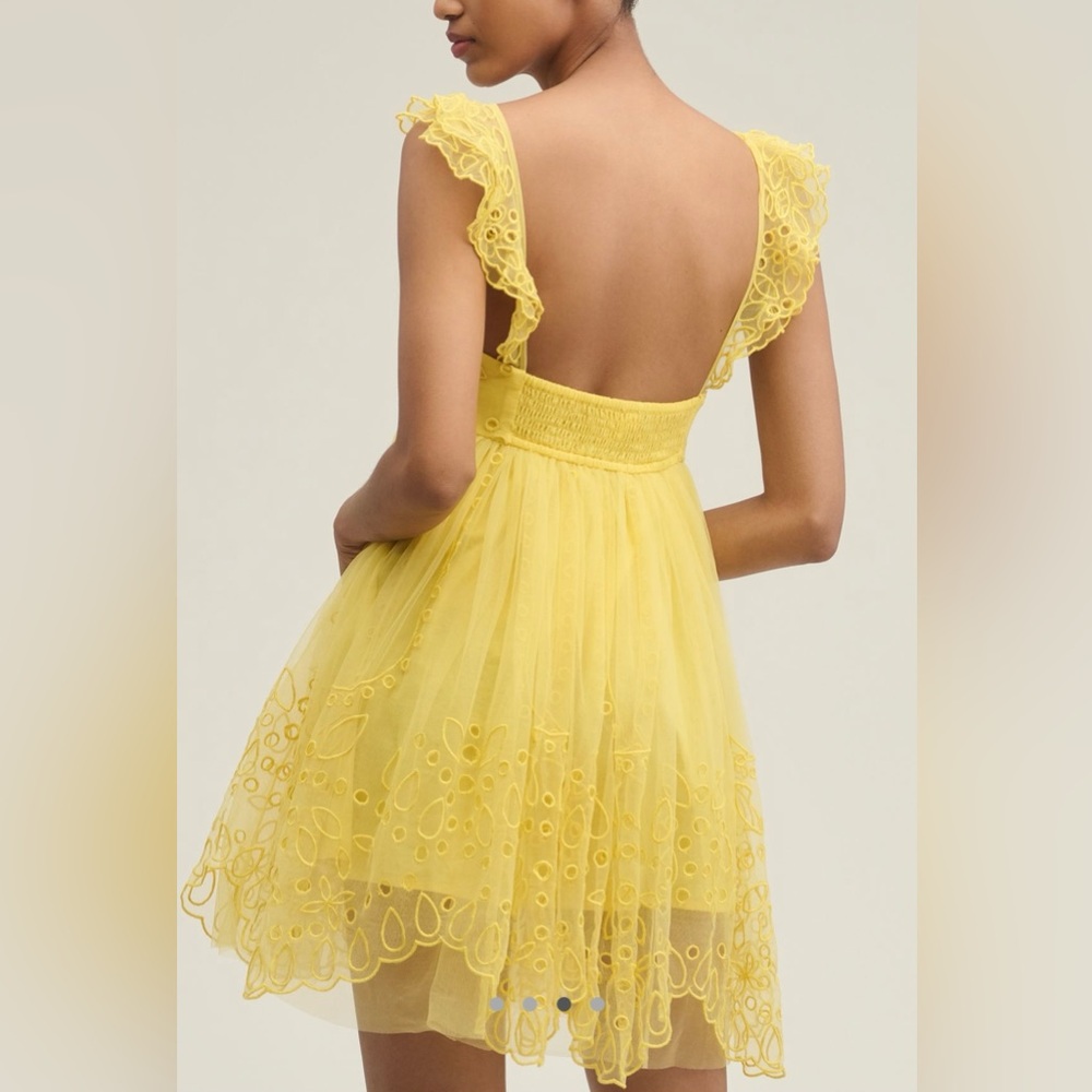 Anthropologie Let Me Be Eyelet Tulle Mini Dress NWT! - Picture 16 of 16